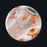 Plato De Papel Marisco, Discomedusae de Ernst Haeckel<br><div class="desc">Jellyfish,  Discomedusae Scheibenquallen,  por Ernst Haeckel Paper Plate</div>