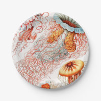 Marisco, Discomedusae de Ernst Haeckel