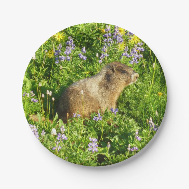 Plato De Papel Marmot en Mont Rainier Wildflowers (Anverso)