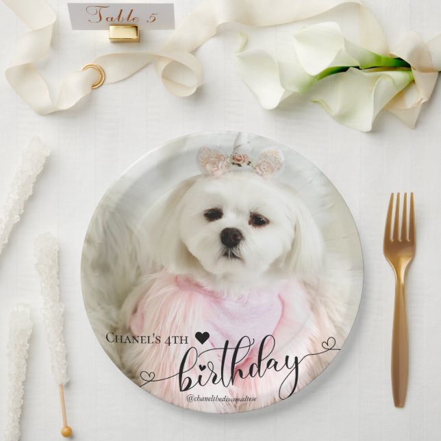 Plato De Papel Mascota fotográfico personalizado perro tipografía (Boda)