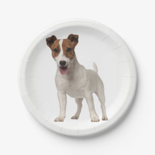 Plato De Papel Me encanta Jack Russel Terrier Papel porcino