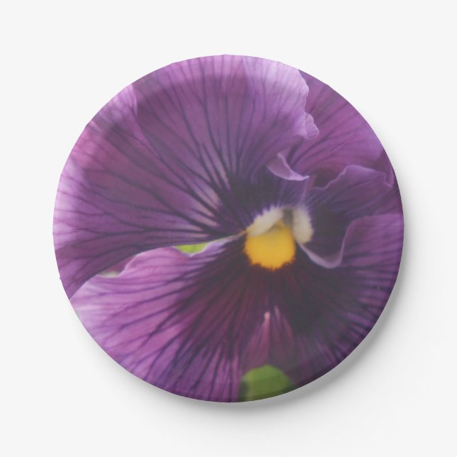 Plato De Papel Mechteld (Anverso)