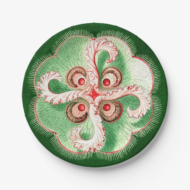 Plato De Papel Medusas de Ernst Haeckel Discomedusae (Aurelia) (Anverso)