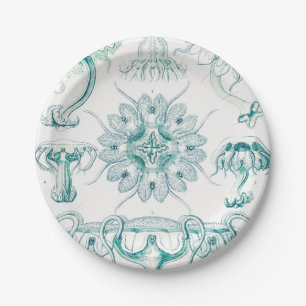 Plato De Papel Medusas, Discomedusae por Ernst Haeckel