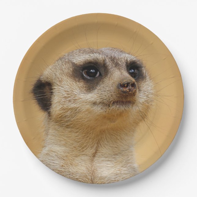 Plato De Papel Meerkat2011101 (Anverso)