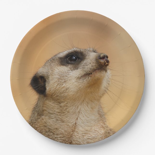 Plato De Papel Meerkat20151002 (Anverso)
