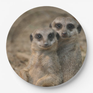 Plato De Papel Meerkat_20170901_by_JAMFoto