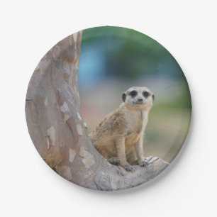 Plato De Papel Meerkat Sat en árbol