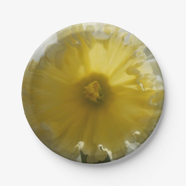 Plato De Papel Ménad (Anverso)