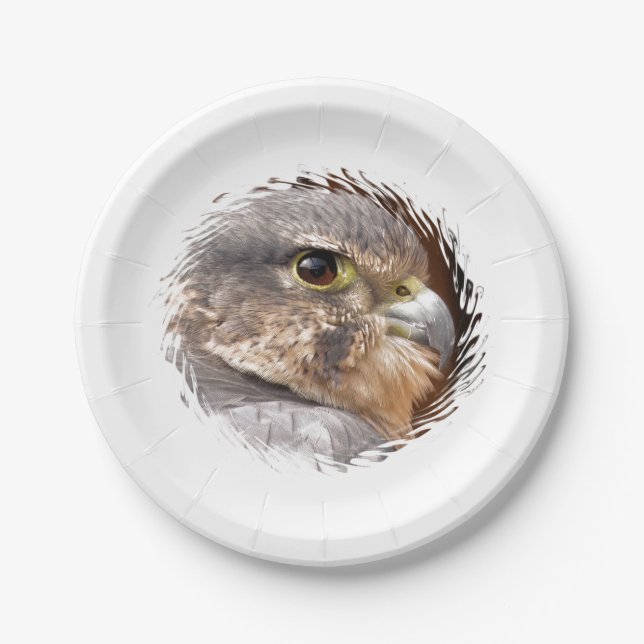 PLATO DE PAPEL MERLIN FALCON BIRD DE PRESA (Anverso)