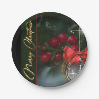 Plato De Papel Merry Christmas Paper Plates