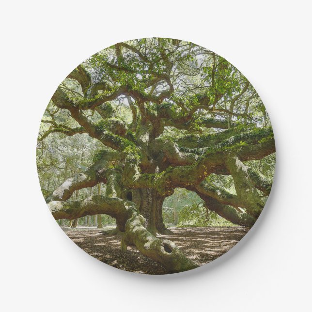 Plato De Papel Mighty Angel Oak (Anverso)
