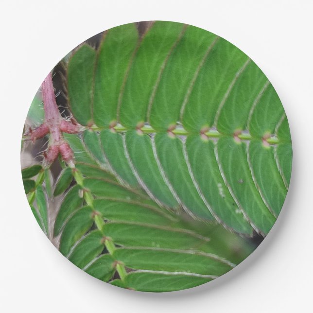 Plato De Papel Mini Placa de papel verde de hoja (Anverso)