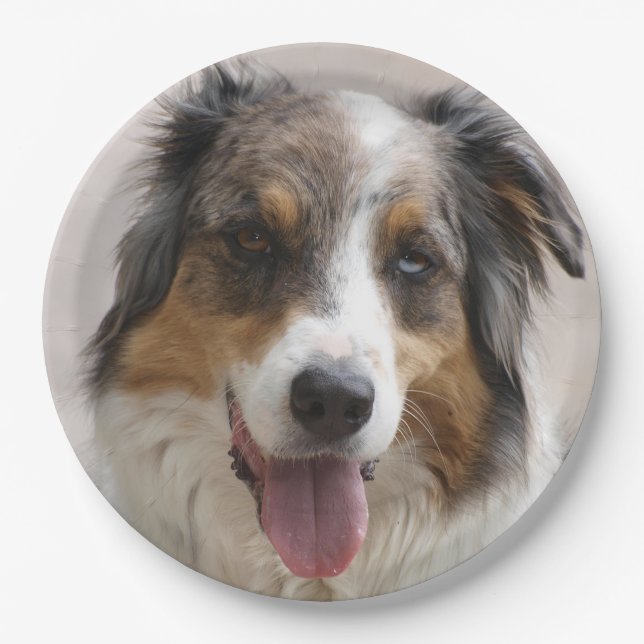 Plato De Papel Ministra norteamericana Shepherd Merle (Anverso)