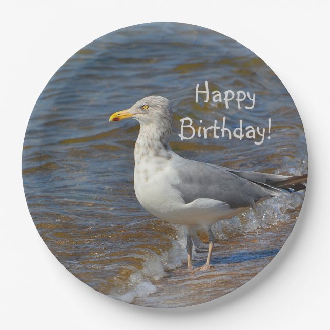 Plato De Papel Mirada de la gaviota (Anverso)