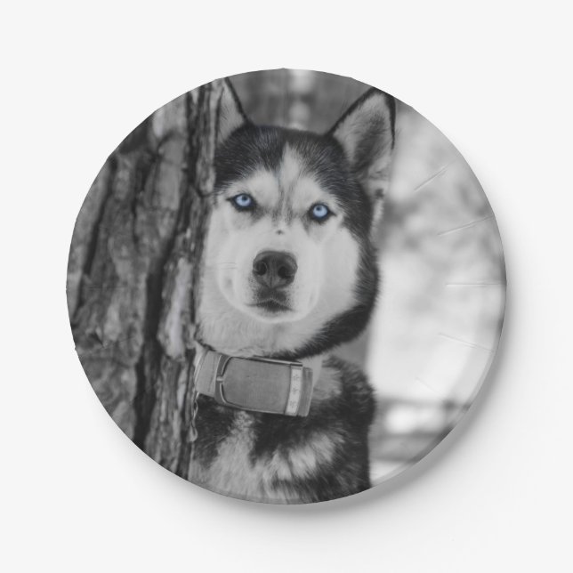 Plato De Papel Mis ojos de azules cielos (Anverso)