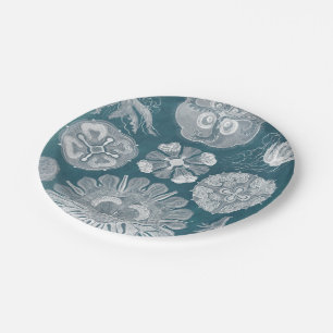 Plato De Papel Modelo IV de Sealife