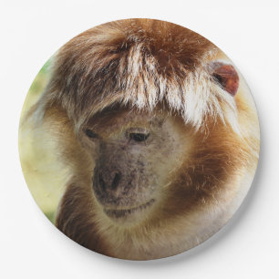 PLATO DE PAPEL MONKEYS