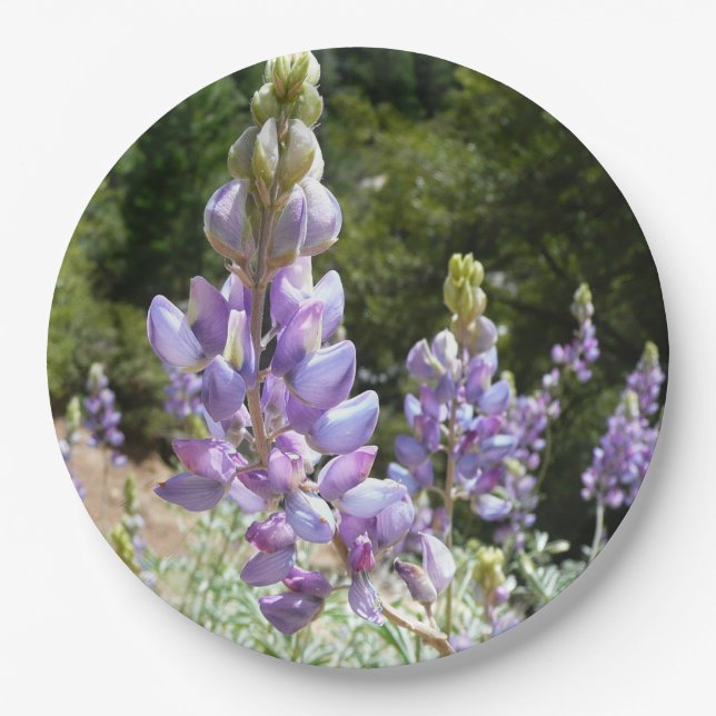 Plato De Papel Montaña Lupins en Yosemite (Anverso)