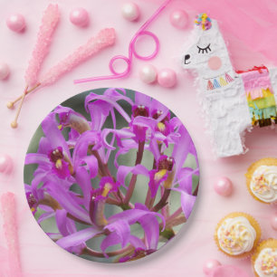 Plato De Papel Morado Laelia Orchids Floral