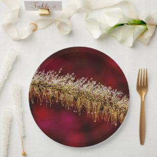Plato De Papel Morning Dew