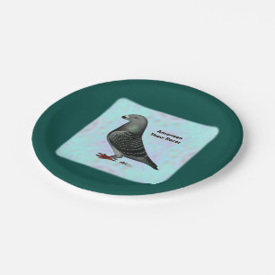 Plato De Papel Mostrar Racer ASR