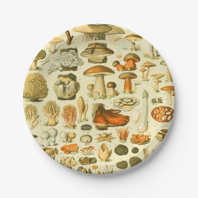Plato De Papel Mushroom Vintage Toadstool Ilustracion antiguo (Anverso)