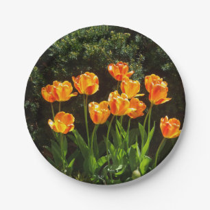 Plato De Papel Naranja amarillo Tulipanes placa de papel