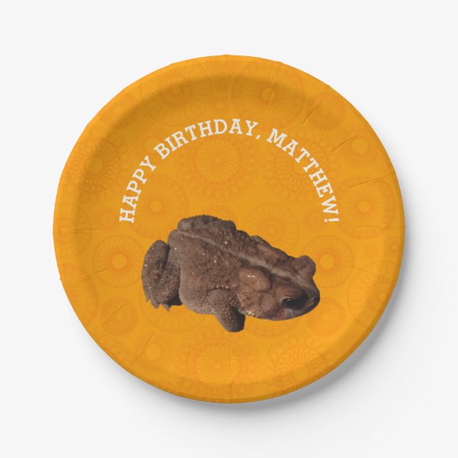 Plato De Papel Naranja Americano de Fotografía de Toad Personaliz (Anverso)