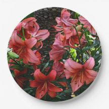 Naranja Asiático Lilies Floral