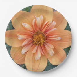 Plato De Papel Naranja Collarette Dahlia Floral