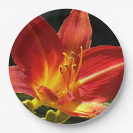 Plato De Papel Naranja Daylily Bloom Floral