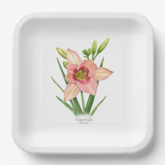 Plato De Papel Naranja Daylily Flor Arte Botánico (Anverso)