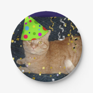 Plato De Papel Naranja de fiesta de cumpleaños Tabby Gato