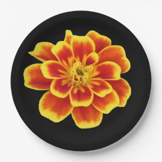 Plato De Papel Naranja Flor Rústica de otoño Boda Floral