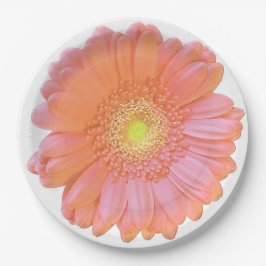Plato De Papel Naranja gerbera daisy