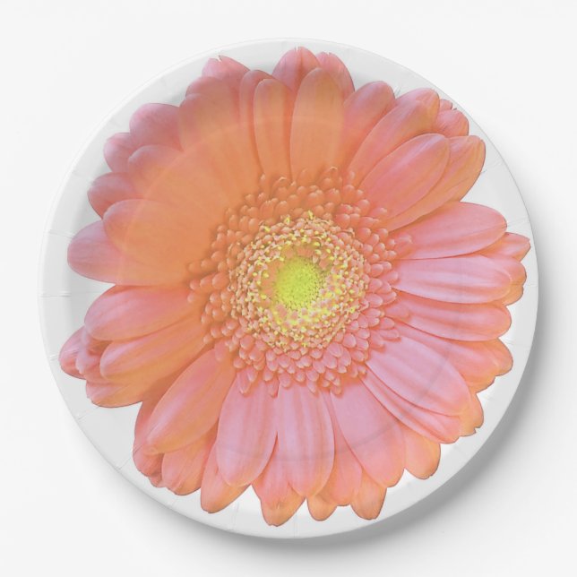 Plato De Papel Naranja gerbera daisy (Anverso)