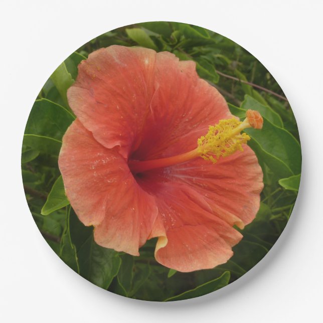 Plato De Papel Naranja Hibiscus Flower Tropical Floral (Anverso)