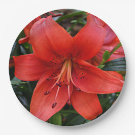 Plato De Papel Naranja Lily Bloom Floral