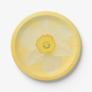Plato De Papel Narciso amarillo