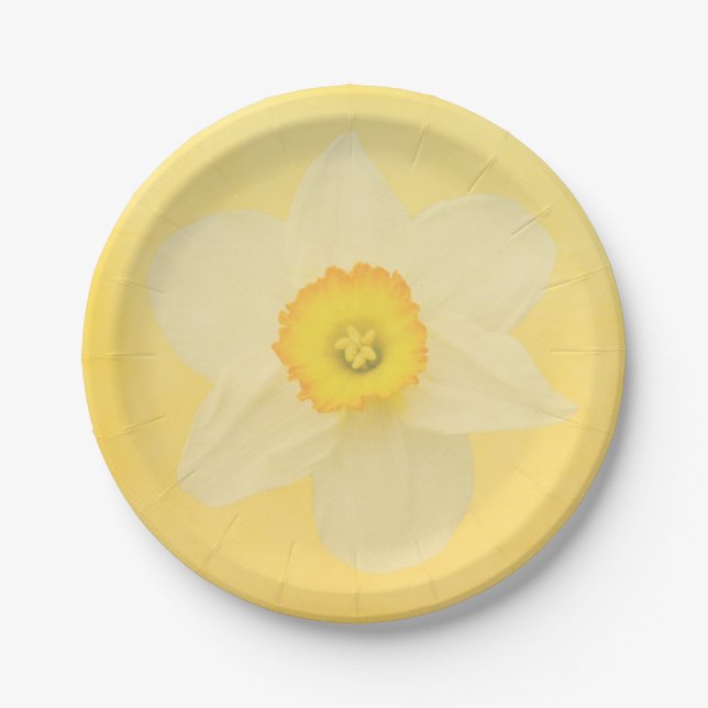 Plato De Papel Narciso amarillo (Anverso)
