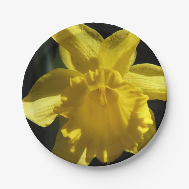 Plato De Papel Narciso perfecto (Anverso)