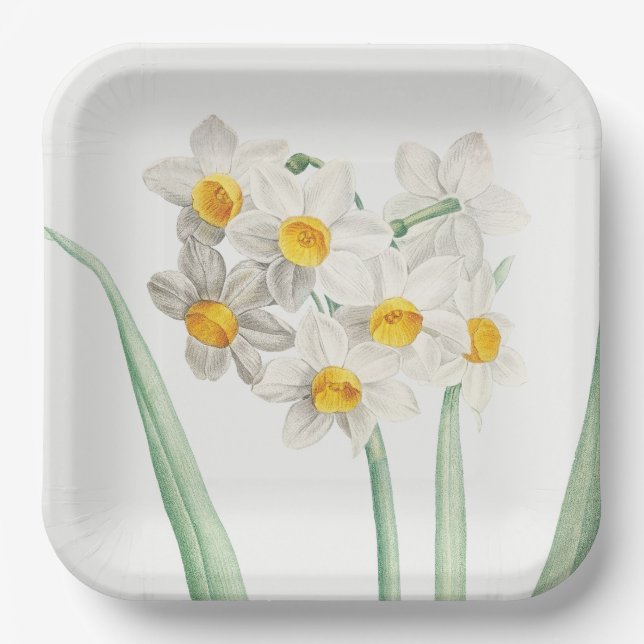 Plato De Papel Narcissus, Pierre-Joseph Redouté, 1805 (Anverso)
