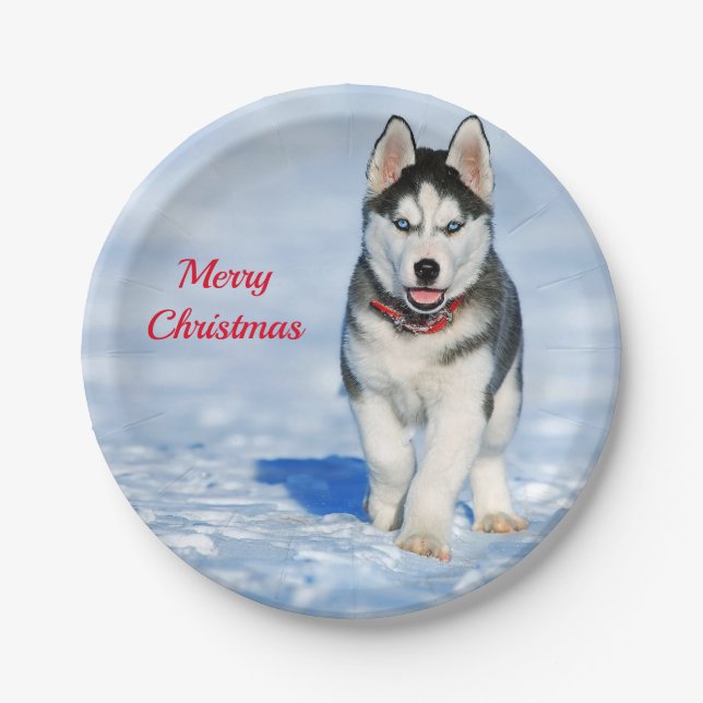 Plato De Papel Navidades de fotografía de Husky Puppy Snow (Anverso)
