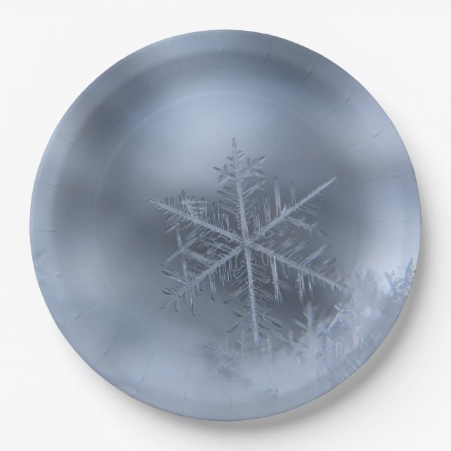 Plato De Papel navidades de invierno 97 (Anverso)