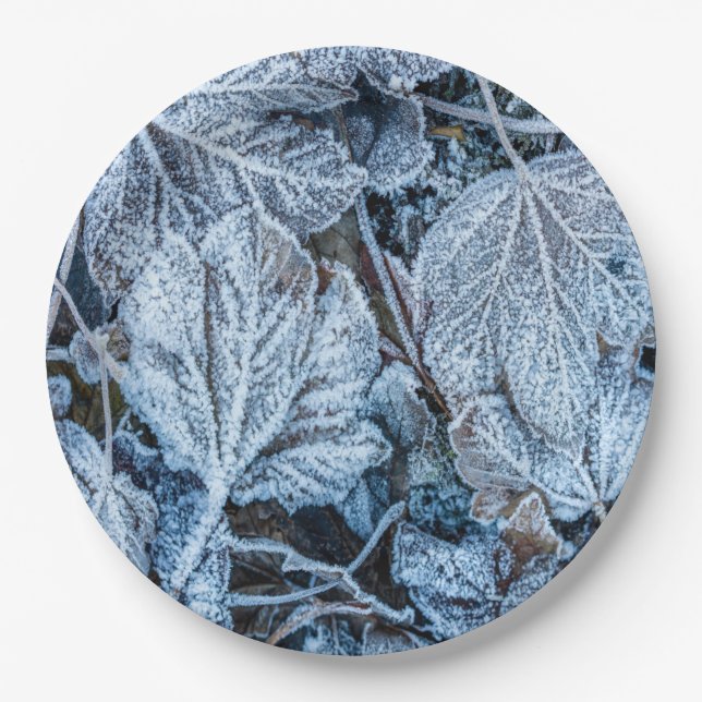 Plato De Papel Navidades Fiesta Blue Leaves Vacaciones de Nieve I (Anverso)