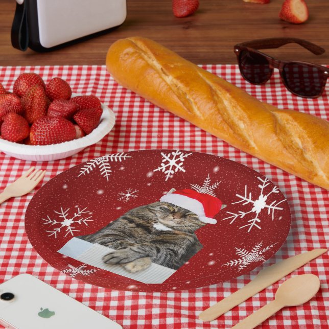 Plato De Papel Navidades Humbug Foto con Santa Hat (Picnic)