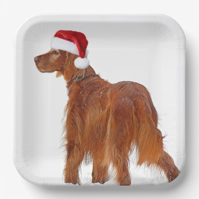 Plato De Papel Navidades irlandeses Setter (Anverso)