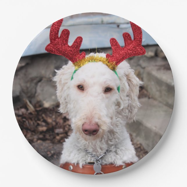 Plato De Papel Navidades Ollie (Anverso)