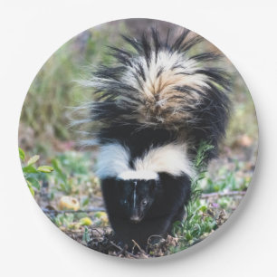 Plato De Papel Negro y blanco del zorrillo